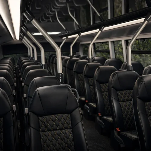 Lavish Travel 55 Seater Interior